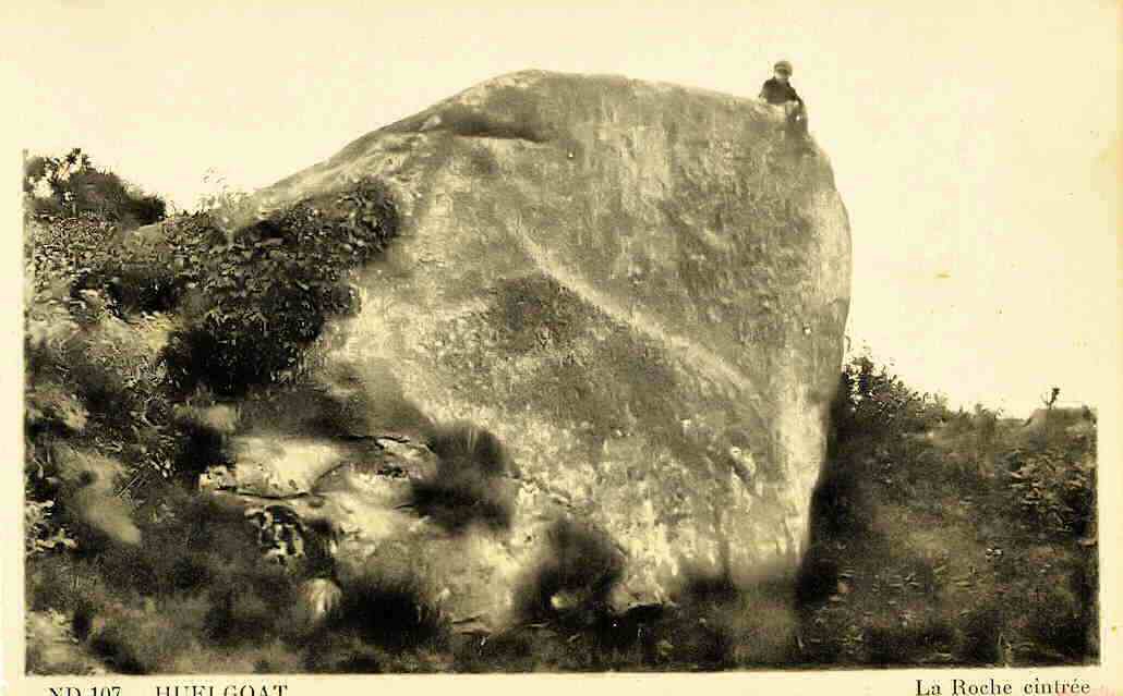 le champignon de la roche cintre